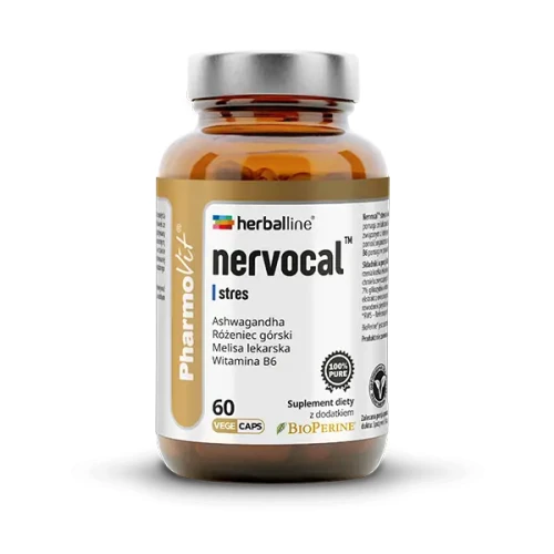 nervocal-sklep.webp