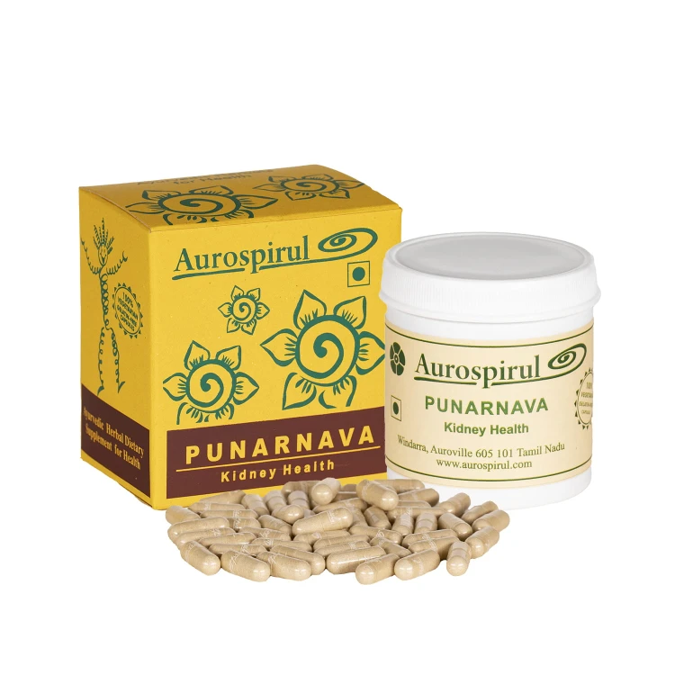 Punarnava4.jpg