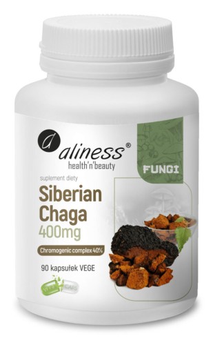 chaga-grzyby witalne.jpg