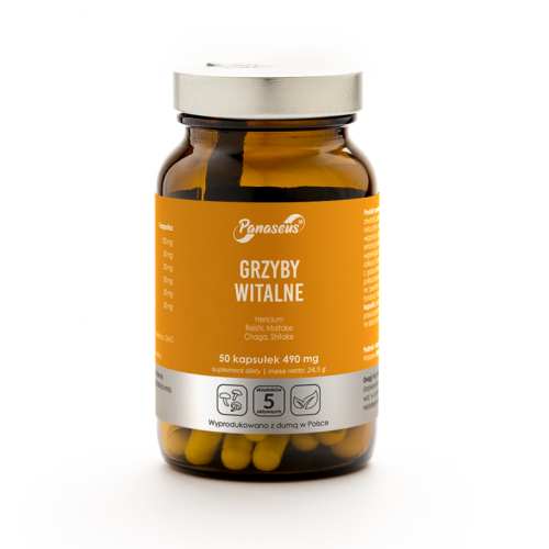 grzyby-witalne mix.jpg