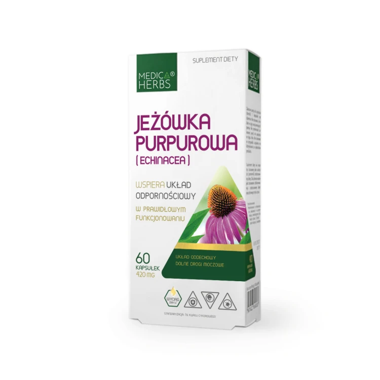 Jeżówka-purpurowa-odporność.jpg