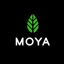 Producent: MOYA Matcha (przejdź do produktów)